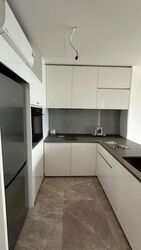 Amber Park (D15), Condominium #624093941
